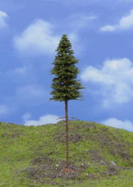 Drzewo modelowe – świerk z pniem TOP, wys. 14–15 cm