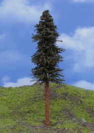 Drzewo modelowe – sosna z pniem, wys. 15–17 cm