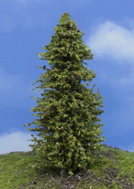 Drzewo modelowe – modrzew zielony, wys. 16–18 cm