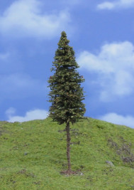 Drzewo modelowe – świerk z pniem TOP, wys. 12–14 cm