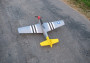 North American P-51D Mustang EPP (kolorowy)