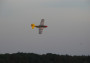 North American P-51D Mustang EPP (kolorowy)