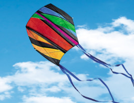 Fantasy Sled – latawiec jednolinowy