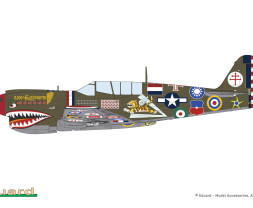 1:48 Curtiss P-40N Warhawk 15,000th (Limited Edition)