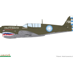 1:48 Curtiss P-40N Warhawk 15,000th (Limited Edition)