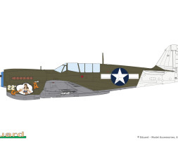 1:48 Curtiss P-40N Warhawk (ProfiPACK edition)