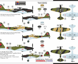 1:72 Ilyushin IL-2M ″Black Death″