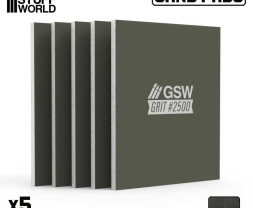 Stała płyta szlifierska 100x80 mm, ziarnistość 2500 (5 szt.)