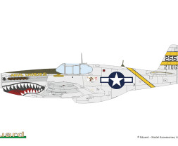 1:48 North American P-51B/C Mustang Birdcage Canopy (WEEKEND edition)
