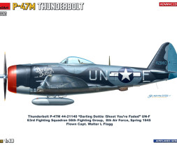 1:48 Republic P-47M Thunderbolt (Advanced kit)