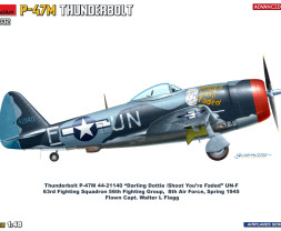 1:48 Republic P-47M Thunderbolt (Advanced kit)