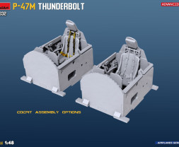 1:48 Republic P-47M Thunderbolt (Advanced kit)