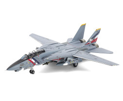 1:72 Grumman F-14D Tomcat