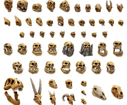 3D Printed Set Battlefield Creature Skulls – drukowane w 3D czaszki potworów (300 szt.)