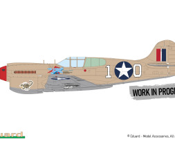 1:48 Curtiss P-40K Warhawk (Royal Class, Dual Combo)