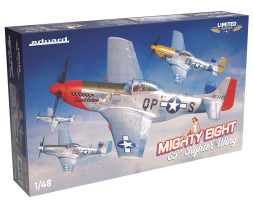 1:48 Mighty Eight: 65th Fighter Wing (Limited Edition)